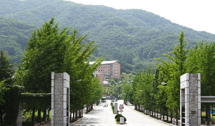 如何帮助学生成功申请延世和成均馆大学