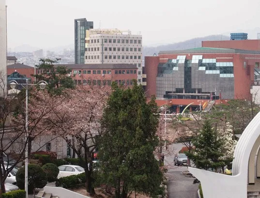 韩国硕士留学个人简历怎么写