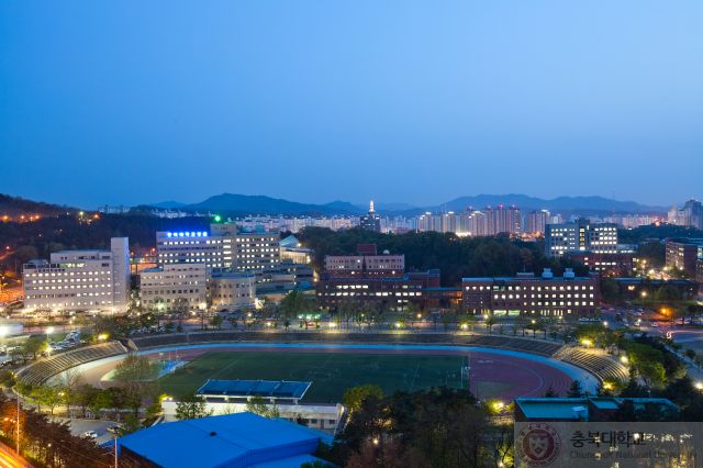 201308261377501056178.jpg