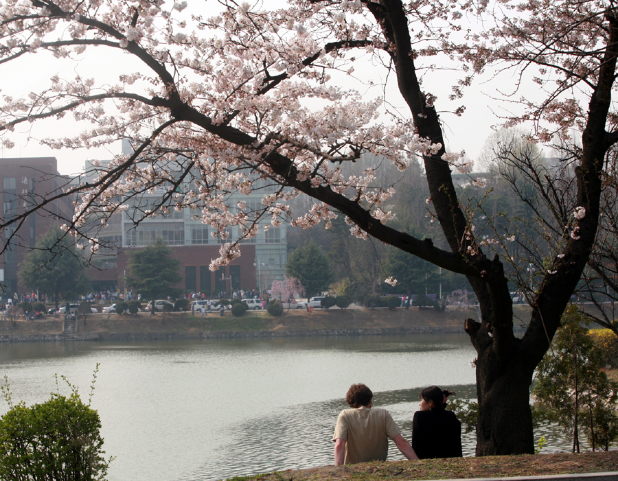 2022年韩国留学一年的学费与生活费