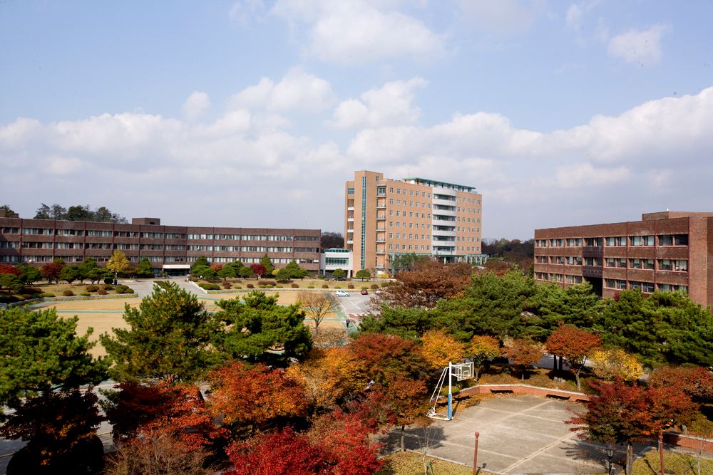 韩国釜山大学留学需要准备多少费用