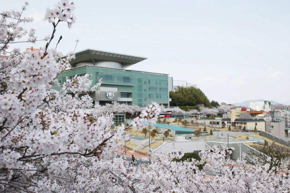韩国本科留学费用是多少2022
