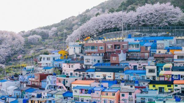 韩国留学的热门城市有哪些？