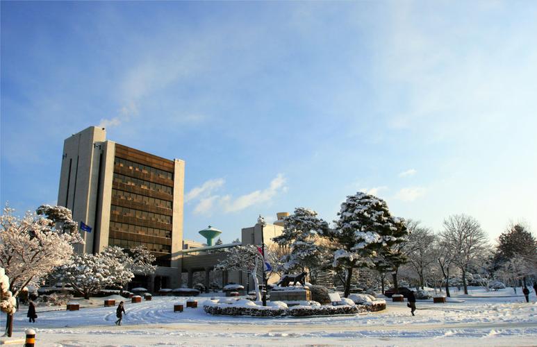 韩国国立大学和私立大学的费用