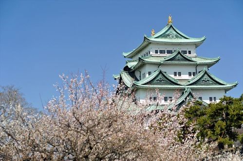 1654063863138135.jpg 名古屋.jpg