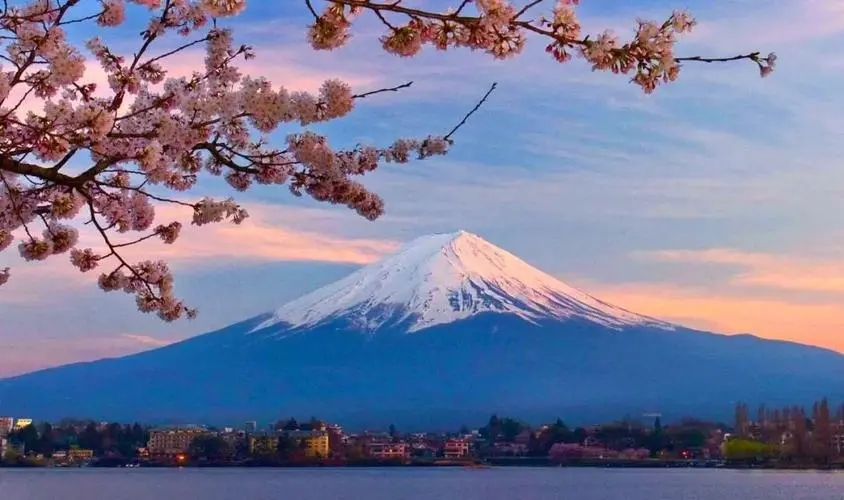 日本院校的费用