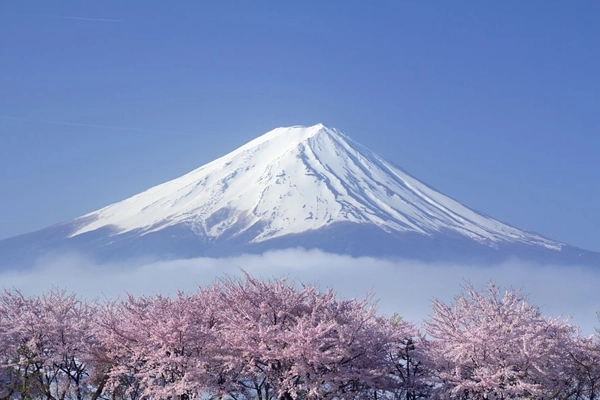 日本留学的费用