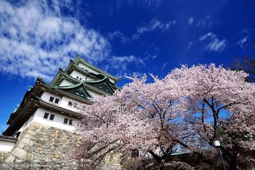 日本名古屋大学留学费用