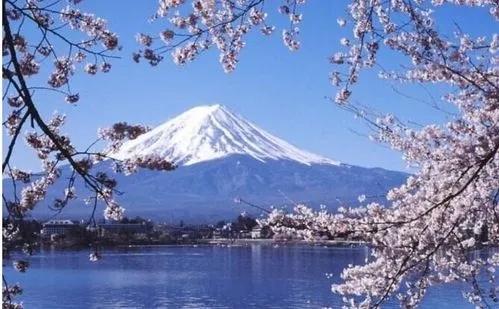 日本留学--未来规划书