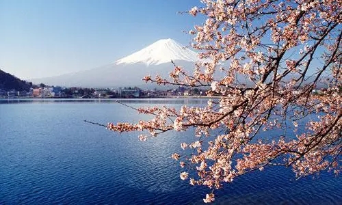 日本留学如何能够快速融入当地生活？