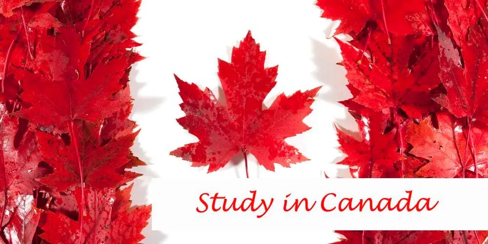 加拿大艺术留学一年费用介绍