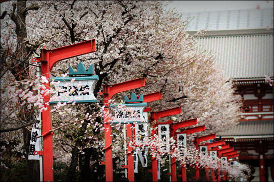 日本留学读研究生的条件