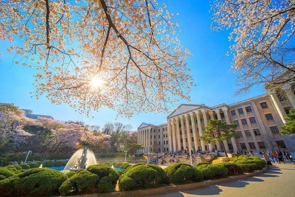 韩国大学解析-庆熙大学