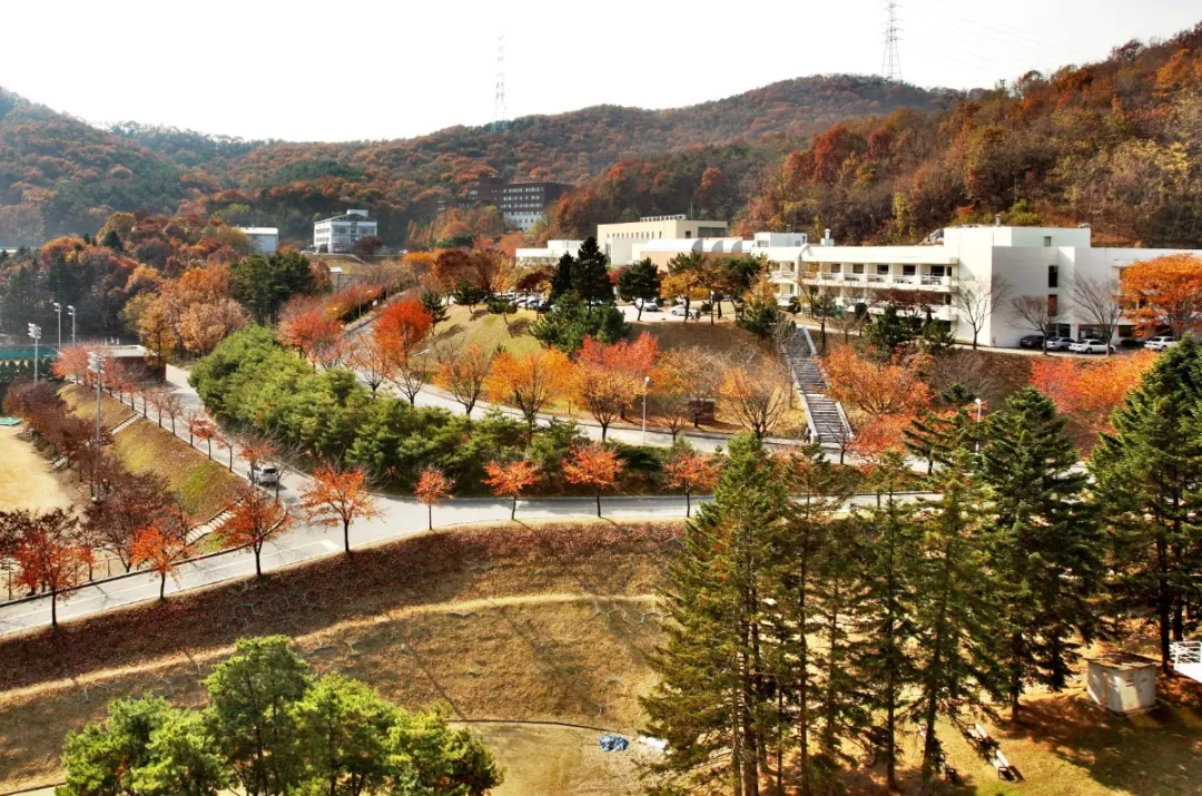 明知大学