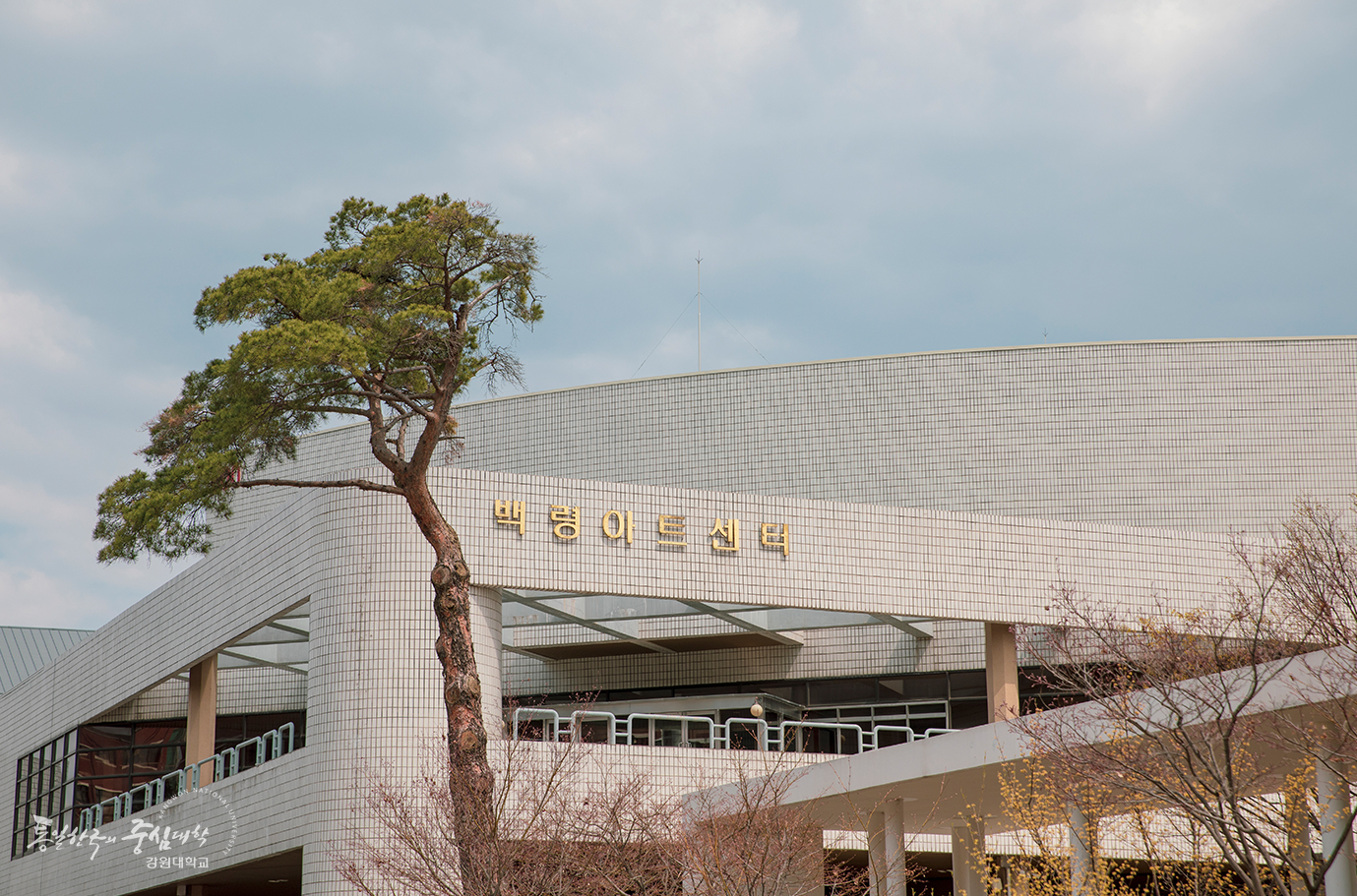 江原大学