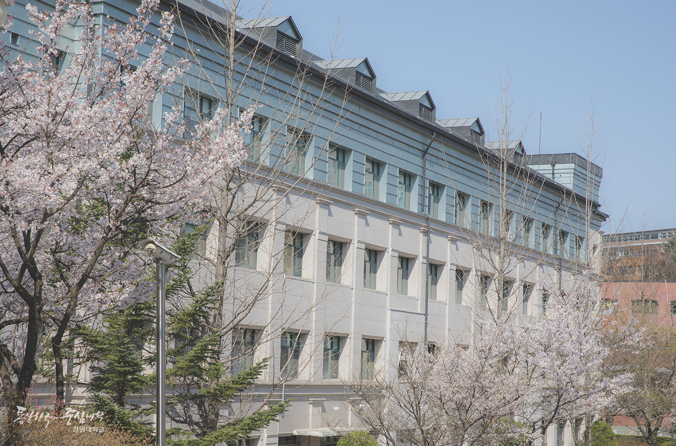 江原大学