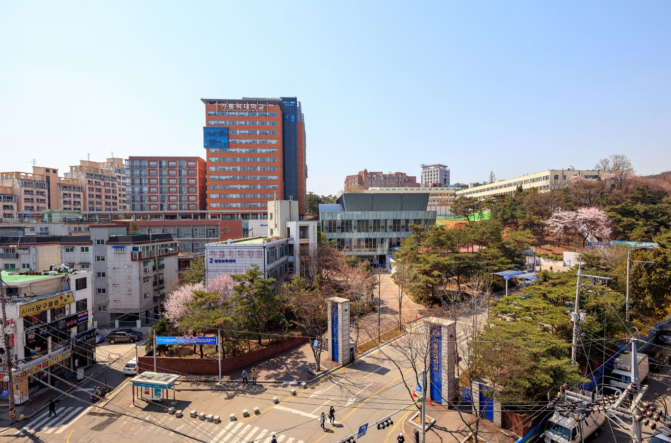 韩国加图立大学