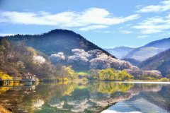 韩国留学高丽大学奖学金介绍