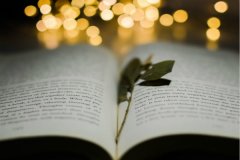 2021年韩国留学条件要求解析
