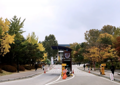 韩国入境可以携带和禁止携带的东西有哪些